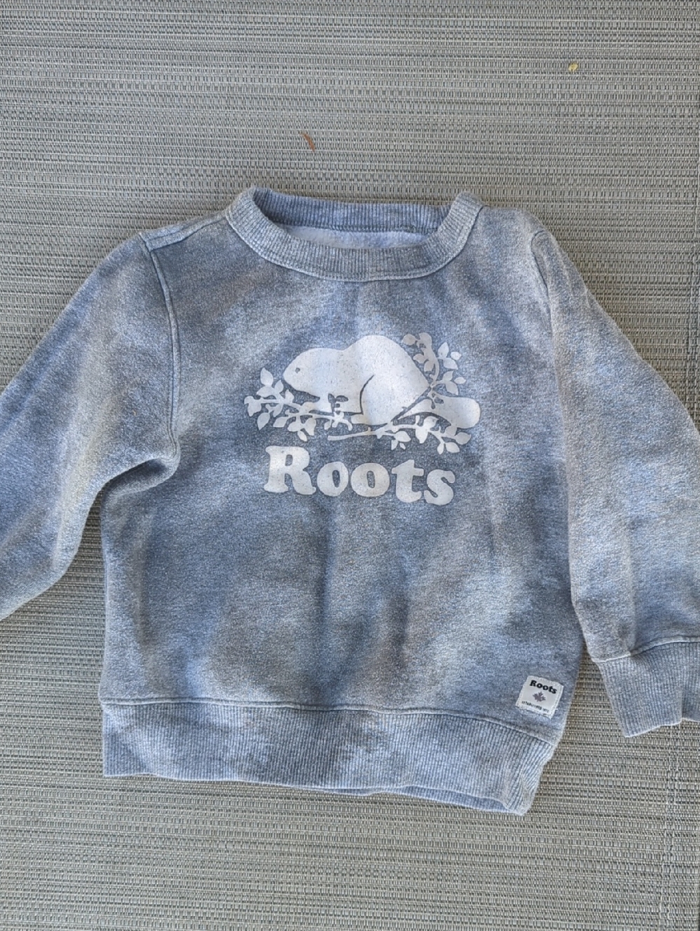 Roots Kids Grey Crewneck Sweatshirt-unisex 3T